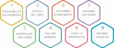 雙收網絡與豬八戒網 探索企業快速建站與精美設計的雙贏之道